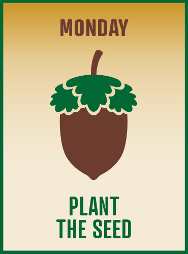 KY Safe Schools Week Plant The Seed