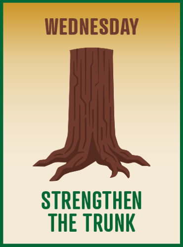 KY Safe Schools Week Strengthen The Trunk